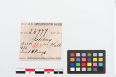 Etiketten zu Bronzearmring (NHMW-PRAE-024777)